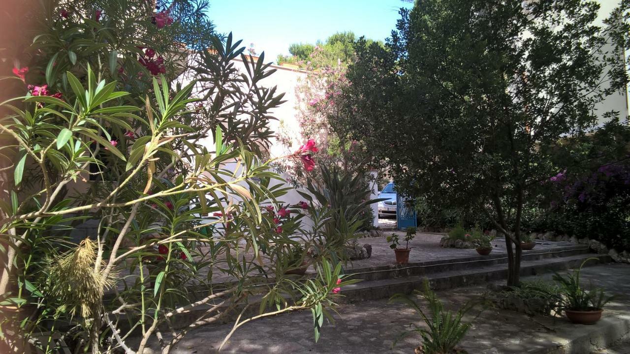 B&B Villa Il Carrubo San Vito Lo Capo Exteriör bild