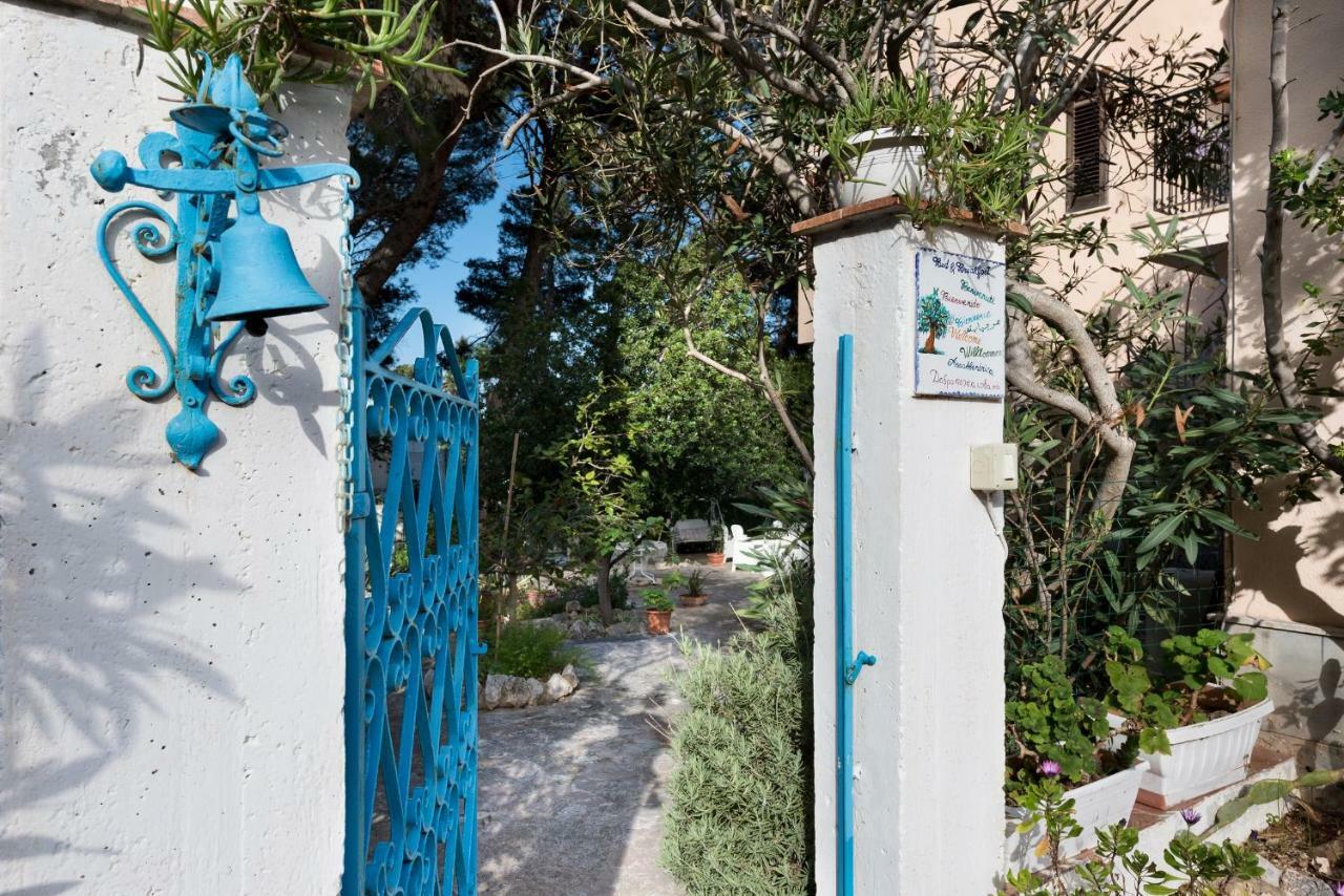 B&B Villa Il Carrubo San Vito Lo Capo Exteriör bild